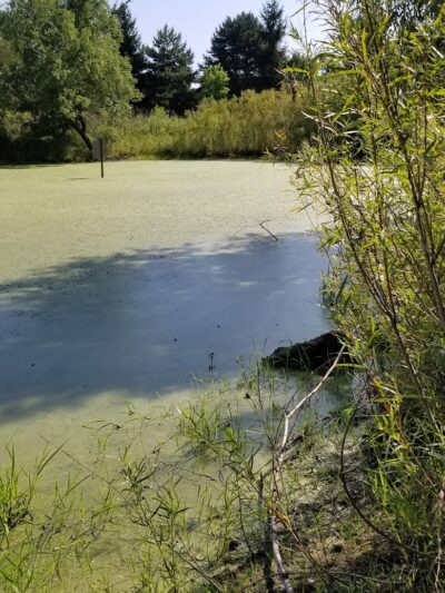 Nature Trails Park - Northwood, OH