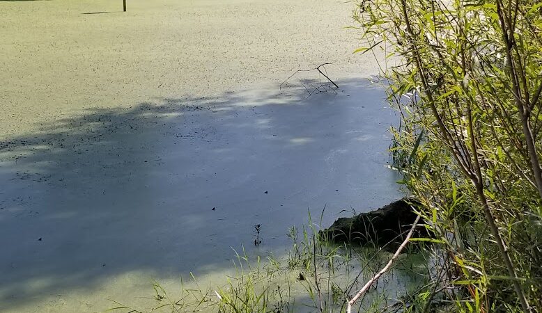 Nature Trails Park - Northwood, OH