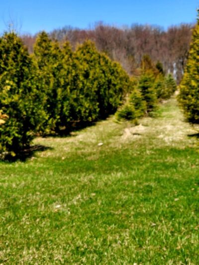 Nature Trails Park - Northwood, OH
