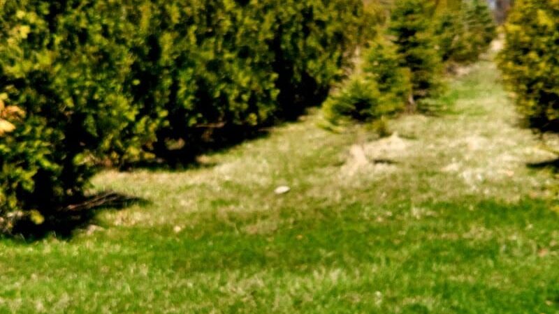 Nature Trails Park - Northwood, OH