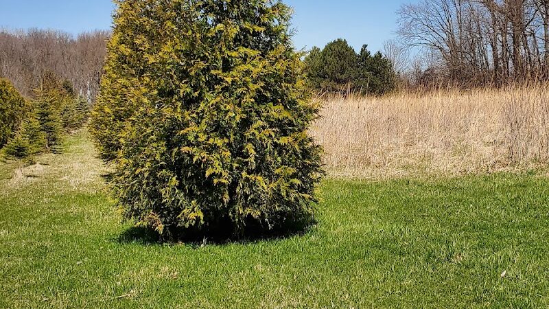 Nature Trails Park - Northwood, OH