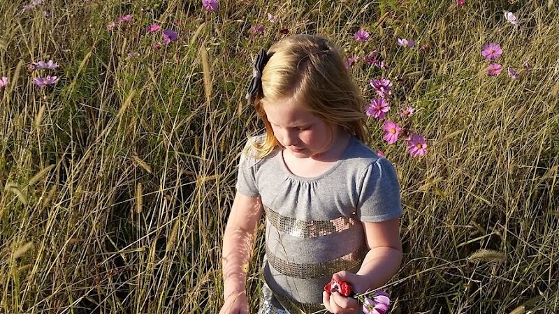 Nature Trails Park - Northwood, OH