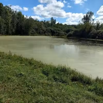 Silver Creek Metro Park - Pheasant Run Area - Norton, OH