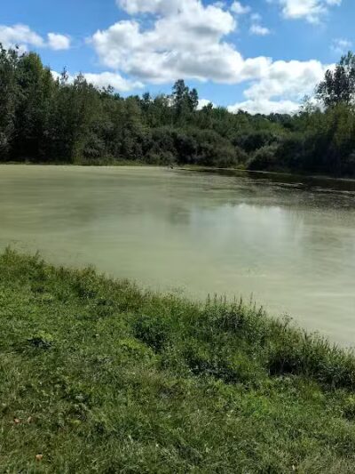 Silver Creek Metro Park - Pheasant Run Area - Norton, OH