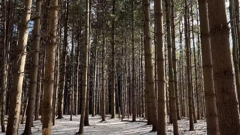 Silver Creek Metro Park - Pheasant Run Area - Norton, OH