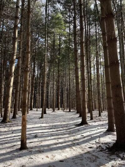 Silver Creek Metro Park - Pheasant Run Area - Norton, OH