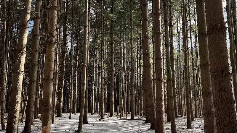 Silver Creek Metro Park - Pheasant Run Area - Norton, OH