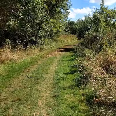 Silver Creek Metro Park - Pheasant Run Area - Norton, OH