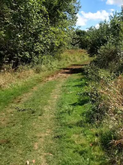 Silver Creek Metro Park - Pheasant Run Area - Norton, OH