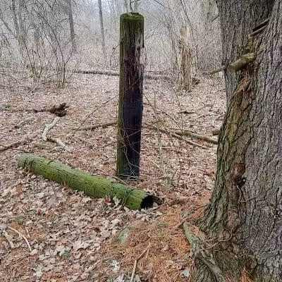 Silver Creek Metro Park - Pheasant Run Area - Norton, OH