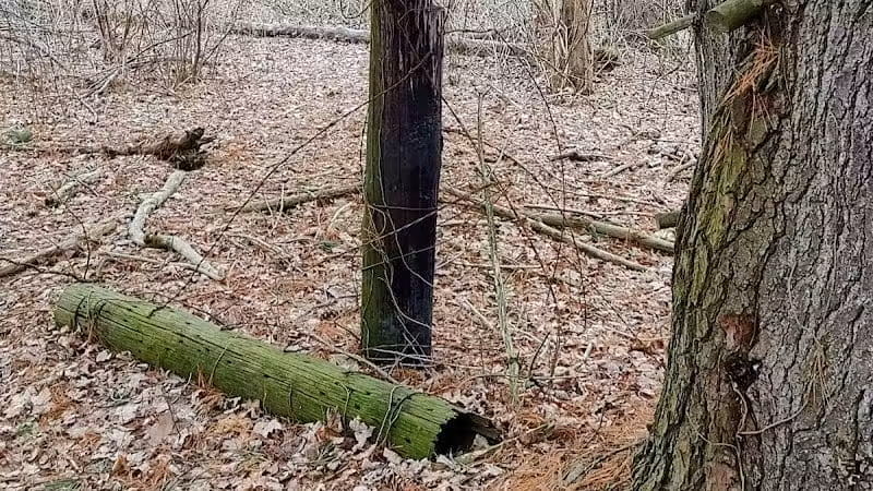 Silver Creek Metro Park - Pheasant Run Area - Norton, OH