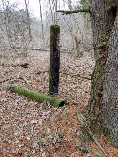 Silver Creek Metro Park - Pheasant Run Area - Norton, OH