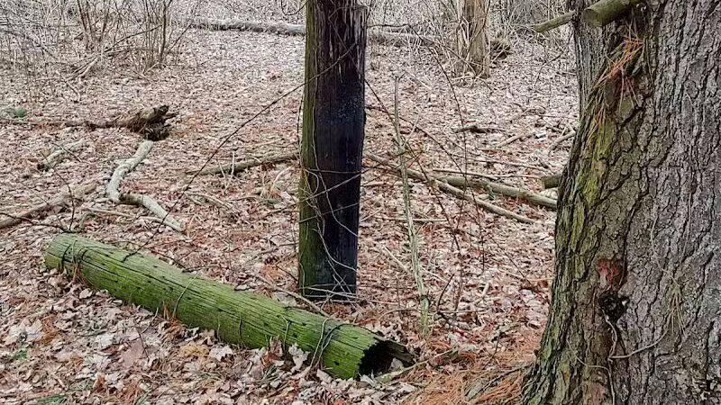 Silver Creek Metro Park - Pheasant Run Area - Norton, OH