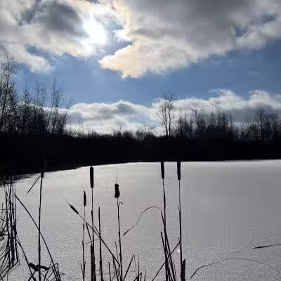 Silver Creek Metro Park - Pheasant Run Area - Norton, OH