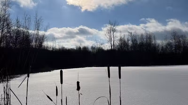 Silver Creek Metro Park - Pheasant Run Area - Norton, OH