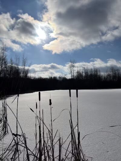 Silver Creek Metro Park - Pheasant Run Area - Norton, OH