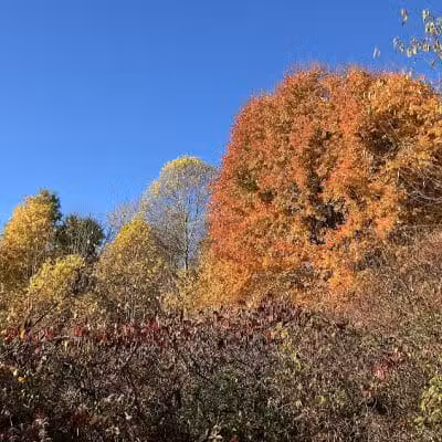 Silver Creek Metro Park - Pheasant Run Area - Norton, OH