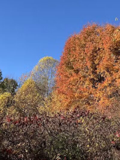 Silver Creek Metro Park - Pheasant Run Area - Norton, OH