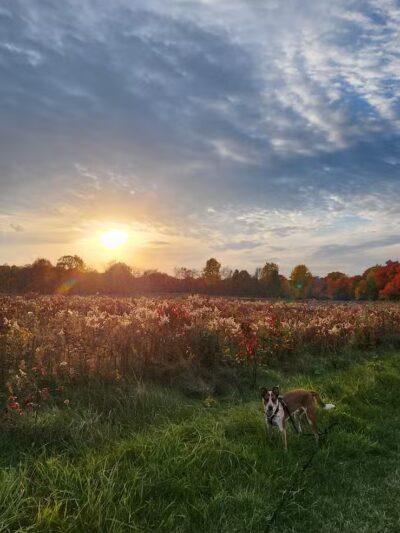 Silvercreek Cross Country Trails - Norton, OH