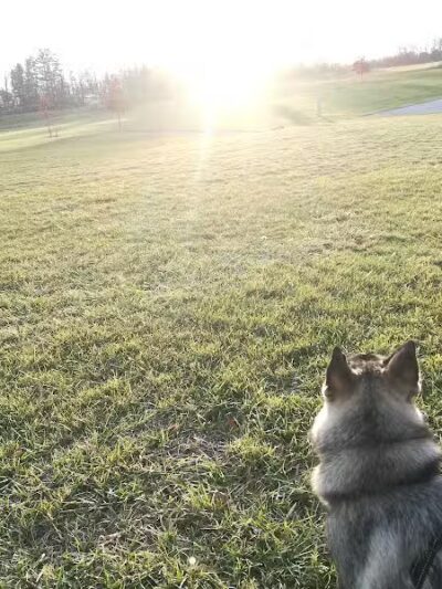 Silvercreek Cross Country Trails - Norton, OH