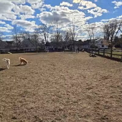 Rowayton Dog Park - Norwalk, CT