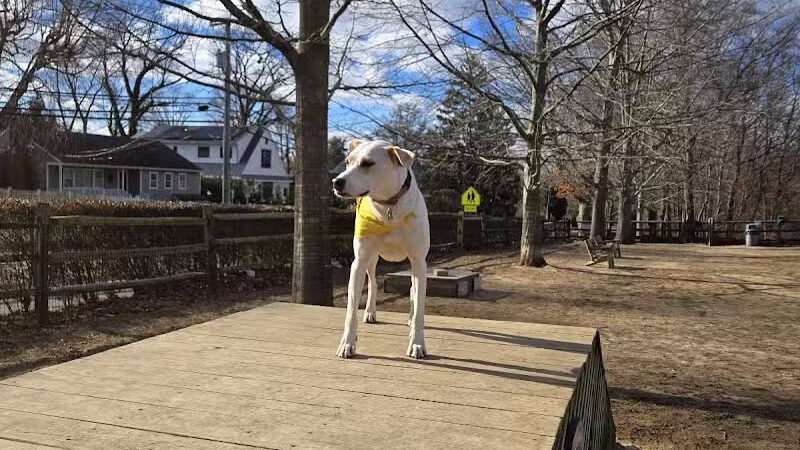 Rowayton Dog Park - Norwalk, CT