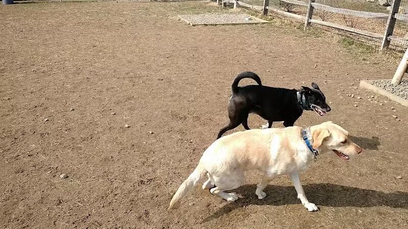 Rowayton Dog Park - Norwalk, CT