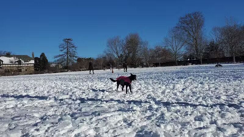 Rowayton Dog Park - Norwalk, CT