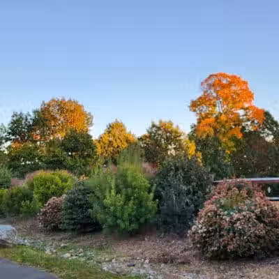 Rowayton Dog Park - Norwalk, CT