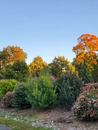 Rowayton Dog Park - Norwalk, CT