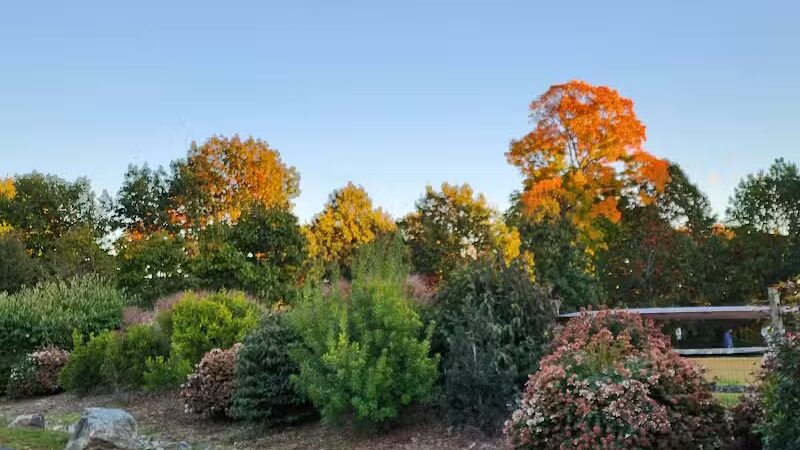 Rowayton Dog Park - Norwalk, CT