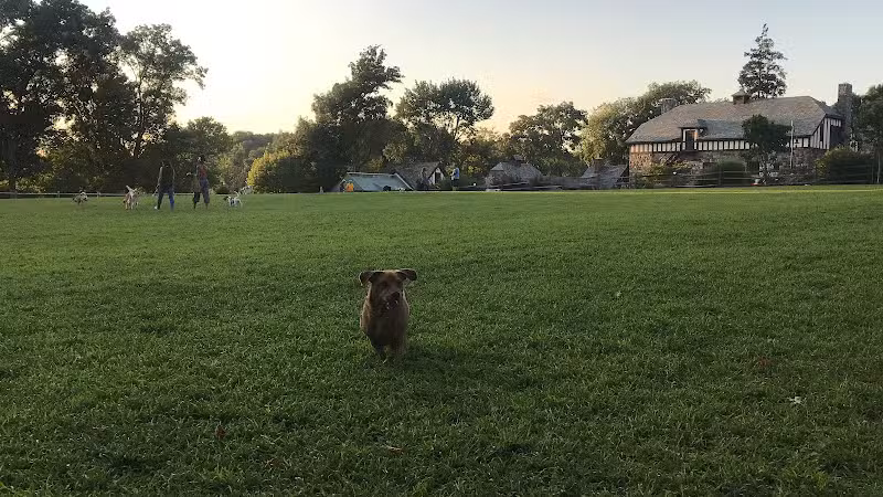 Rowayton Dog Park - Norwalk, CT