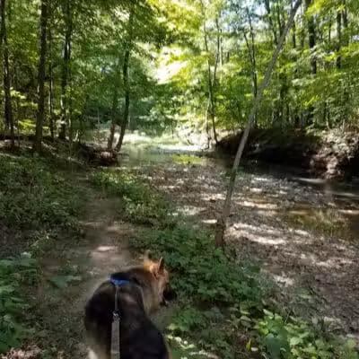 Huron County Nature Trails and Land Lab - Norwalk, OH