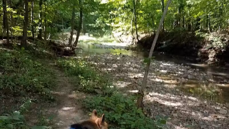 Huron County Nature Trails and Land Lab - Norwalk, OH