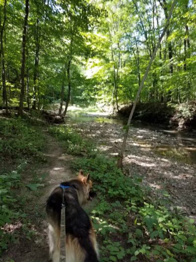 Huron County Nature Trails and Land Lab - Norwalk, OH