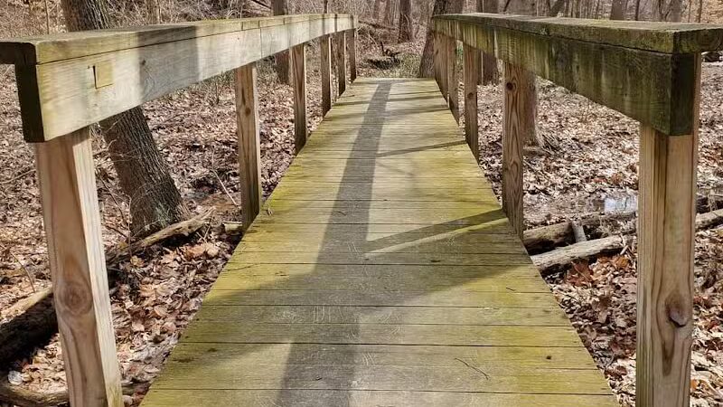 Huron County Nature Trails and Land Lab - Norwalk, OH