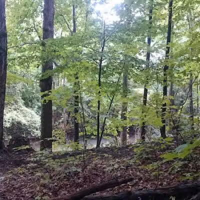Huron County Nature Trails and Land Lab - Norwalk, OH