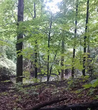 Huron County Nature Trails and Land Lab - Norwalk, OH