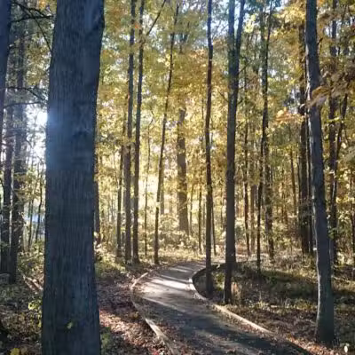 Lion's Park - Norwalk, OH
