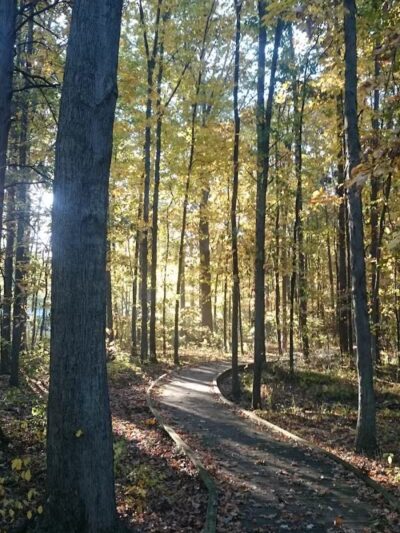 Lion's Park - Norwalk, OH