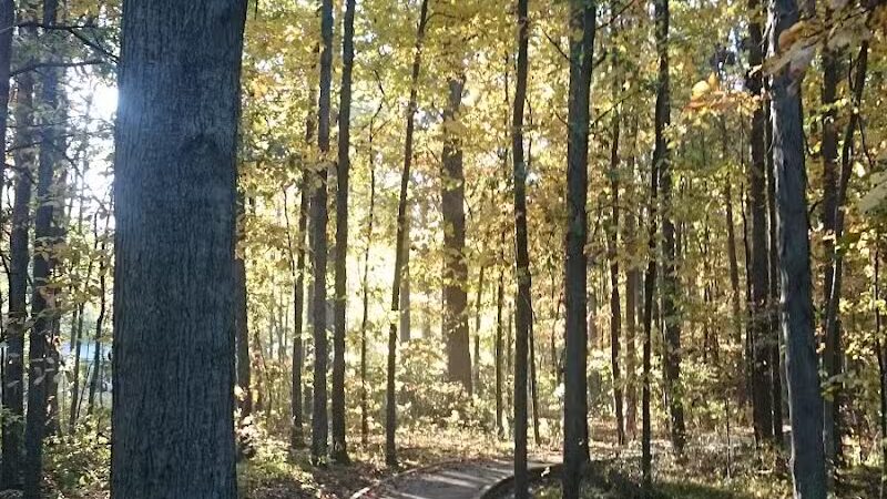 Lion's Park - Norwalk, OH