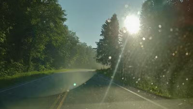 Milan Wildlife Area - Norwalk, OH