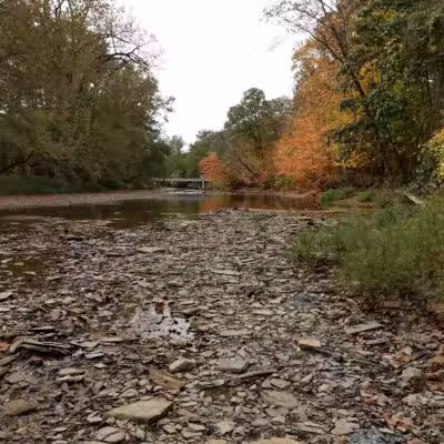 Milan Wildlife Area - Norwalk, OH