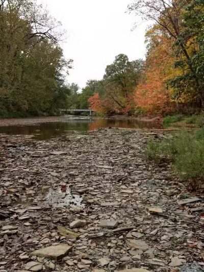 Milan Wildlife Area - Norwalk, OH