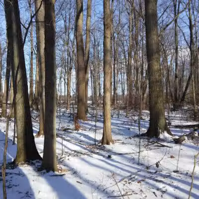 Milan Wildlife Area - Norwalk, OH