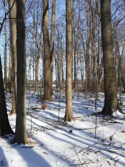 Milan Wildlife Area - Norwalk, OH