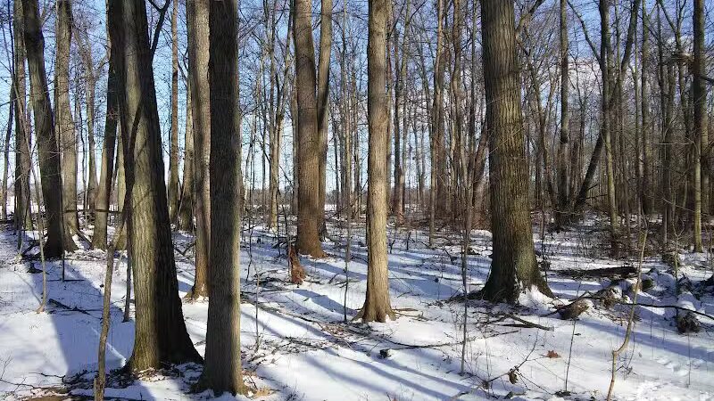 Milan Wildlife Area - Norwalk, OH