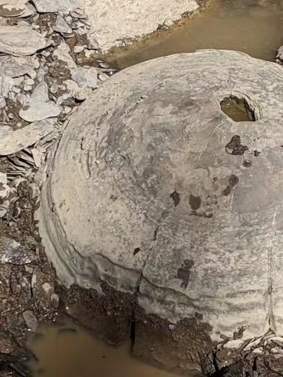 Milan Wildlife Area - Norwalk, OH