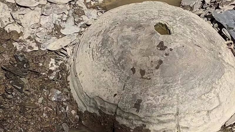 Milan Wildlife Area - Norwalk, OH