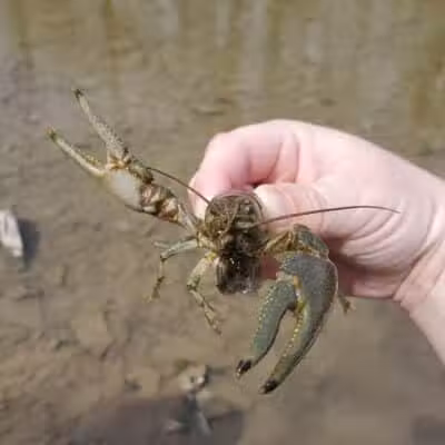 Milan Wildlife Area - Norwalk, OH